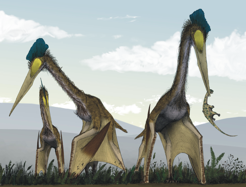 life_restoration_of_a_group_of_giant_azhdarchids_quetzalcoatlus_northropi_foraging_on_a_cretaceous_fern_prairie.png