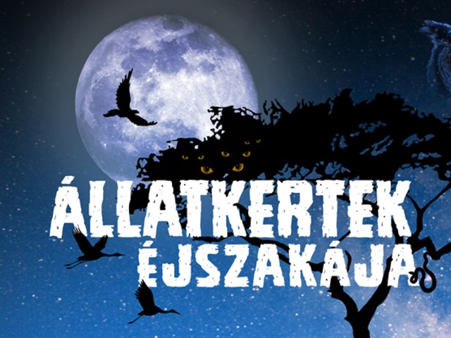 Állatkertek Éjszakája augusztus 25-én
