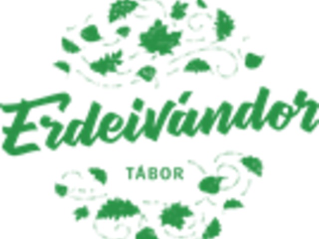Erdei vándortábor-vezetőket keres az Országos Erdészeti Egyesület