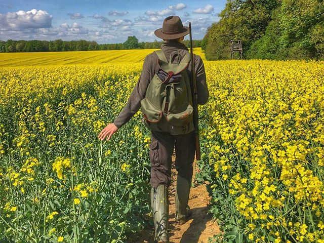 Gone hunting #hunt #hunting #hunter #yellow #flowers #floweringfield #spring #april #roedeer #roedeerbuck #seasonstarted #nature #huntingphoto #huntphotos #naturephotography #mik #yolo #ikozosseg #erdozugas #alwaysontheyellowpath #repost @keiysersoze @kalovicstamas
