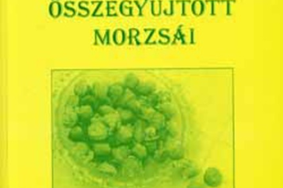 Lajos atya. …testet és lelket gyógyító pap