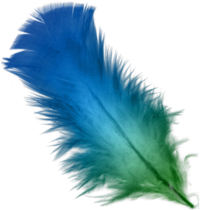 200px-blue_and_green_feather.png