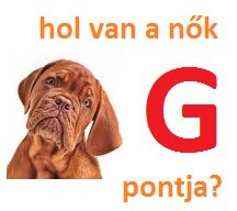 nok-g-pontja.png