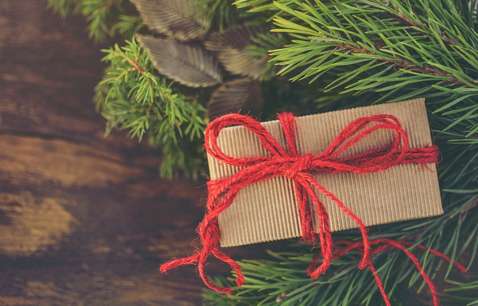christmas-3859552_960_720.jpg