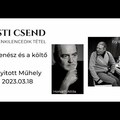 Esti Csend  - A zenész és a költő