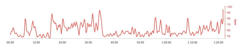 heart-rate-monitor-800x178.jpg