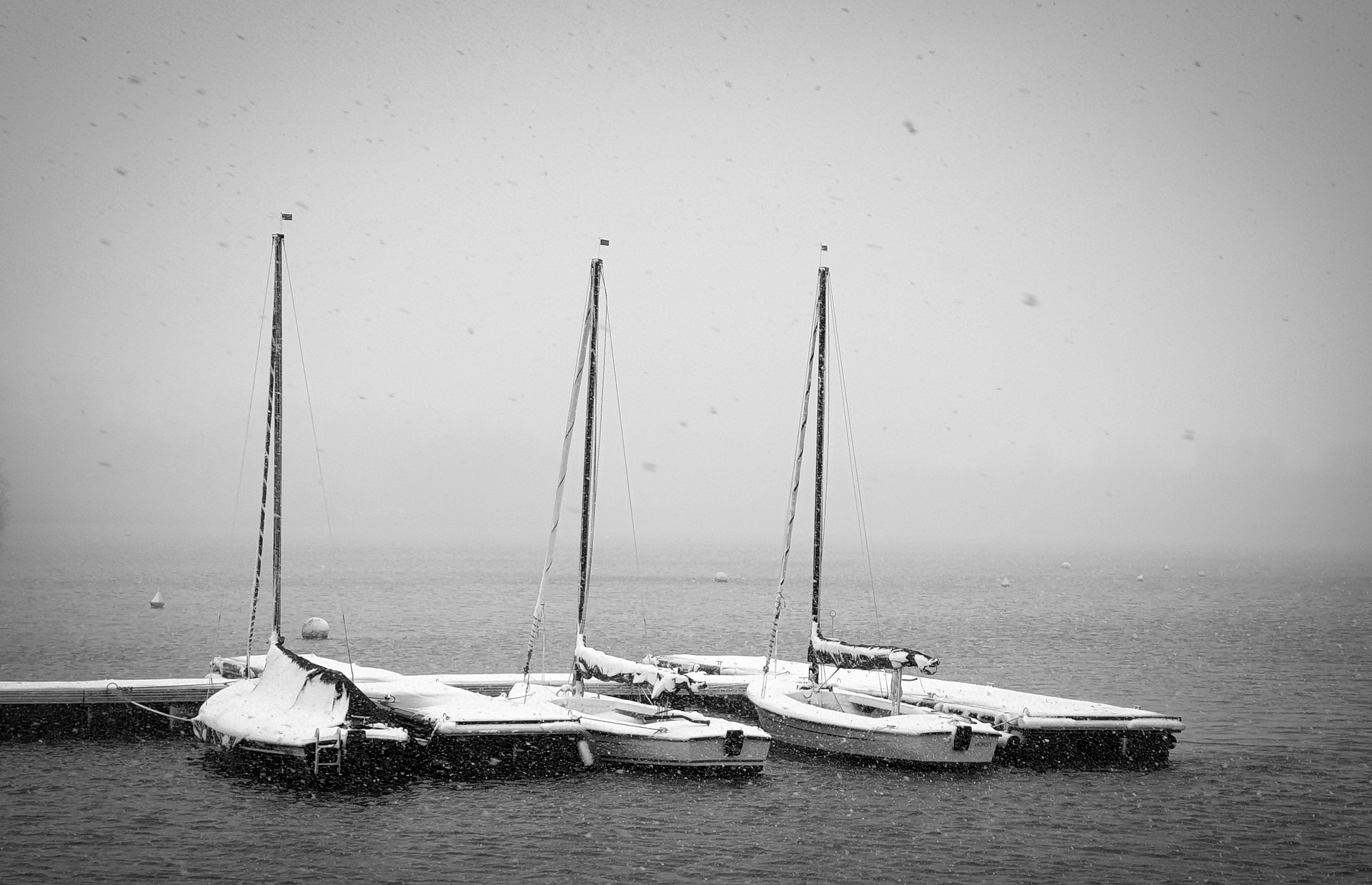 sailboats-g390576f3a_1920.jpg