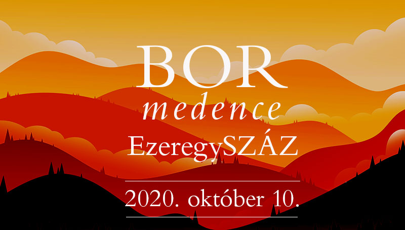 bormedence_cover1.jpg