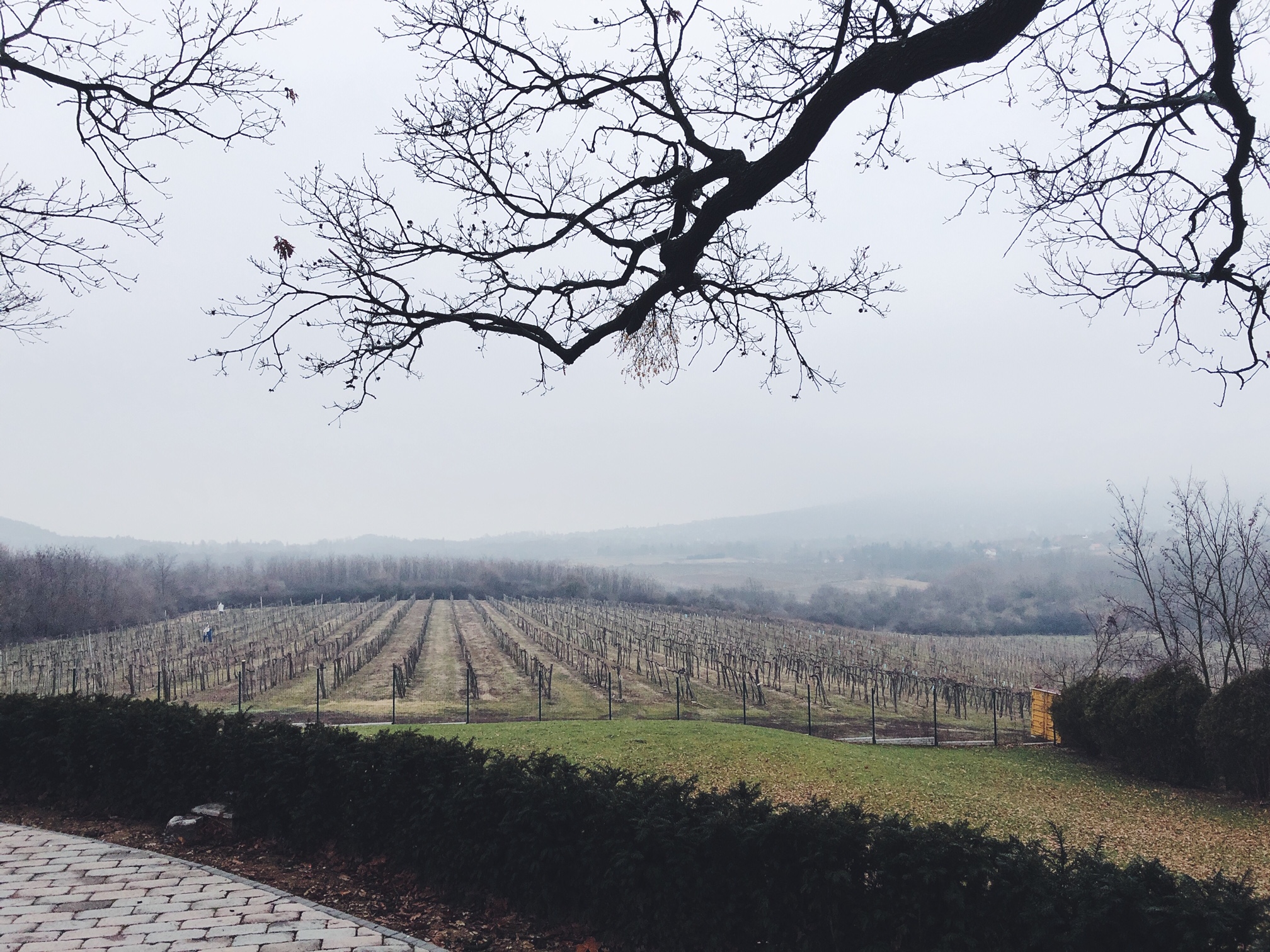 Ott hátul bújik meg a Balaton is