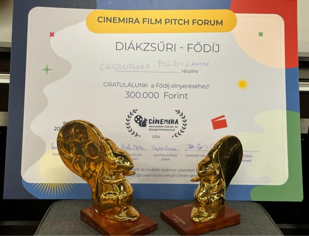 A Toldi lányok című animációs-dokumentumfilm által a Cinemira Filmfesztiválon elnyert díjak.