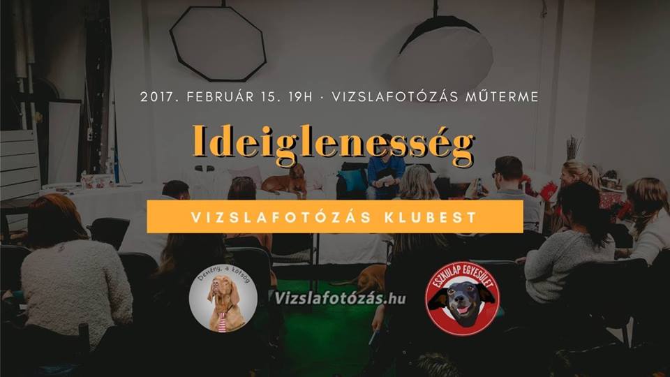 vizslafotozas_est.jpg