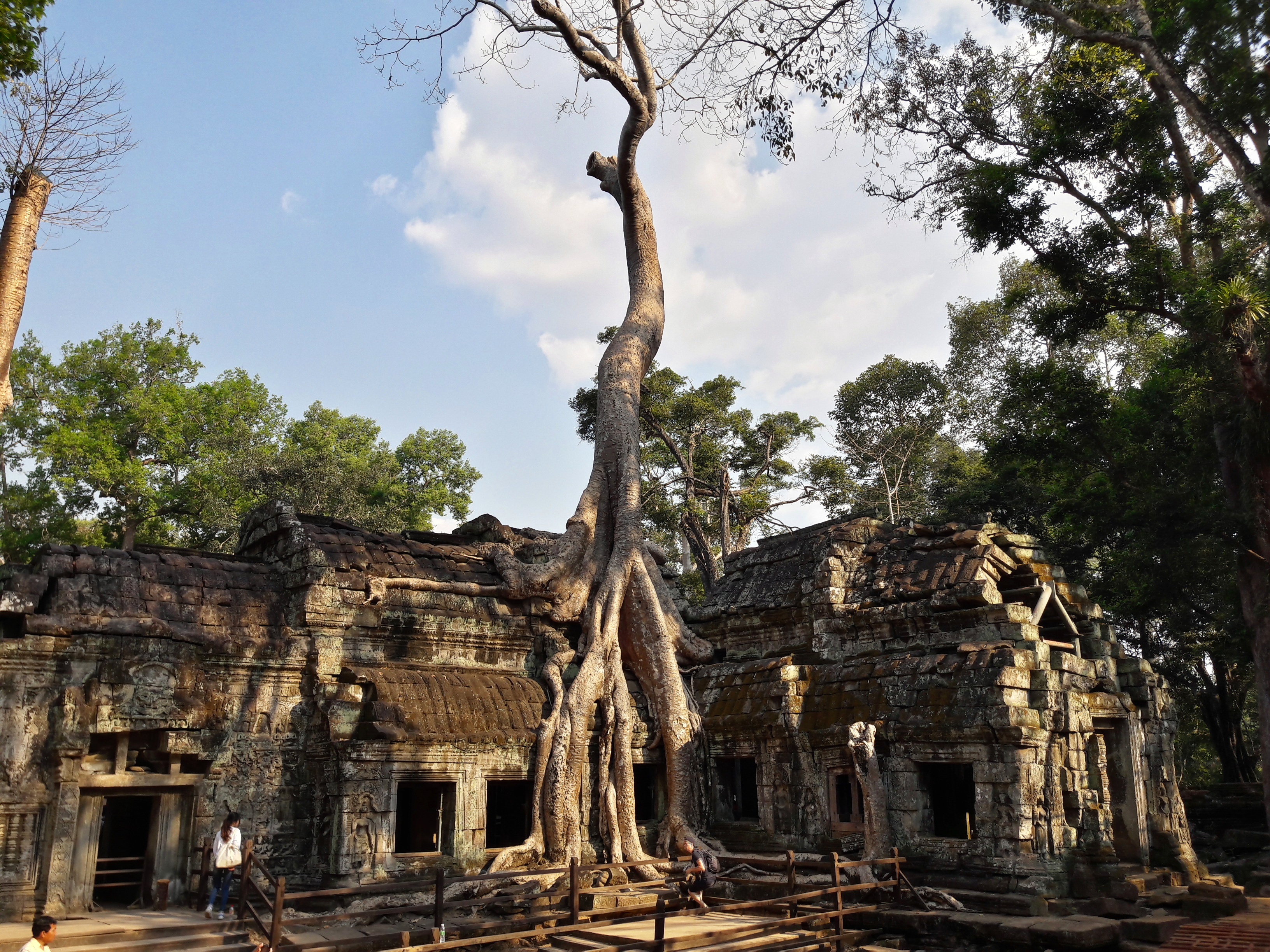 Ta Phrom