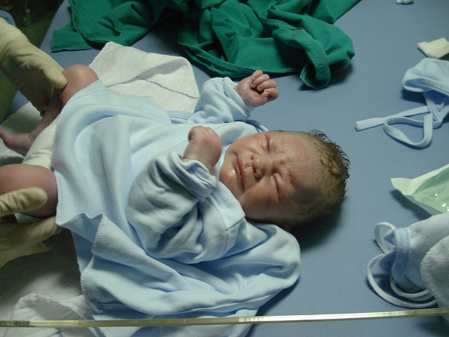 new-born-702548_640.jpg