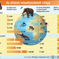 Infografikák az oktatásban