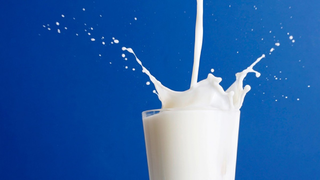 Tudja, mi a különbség a laktózérzékenység és a tejallergia között?