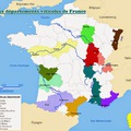 Champagne-i/Reims-i borecet