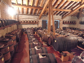 modena_paltrineri1.JPG