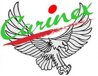 Carinex logo.jpg