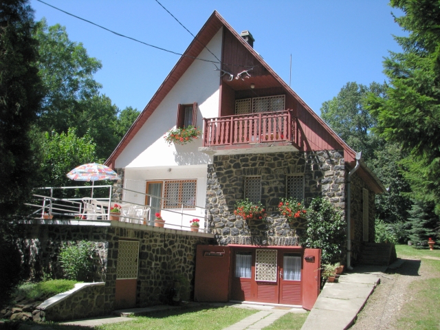 Bagolyirtás