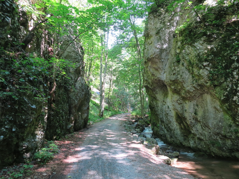 kassai-3.jpg