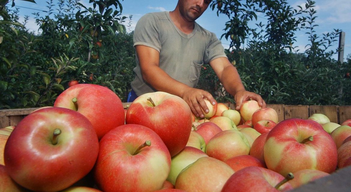 rendezodhet-a-lealma-ara-koruli-vita-1210x642-1170x642.jpg