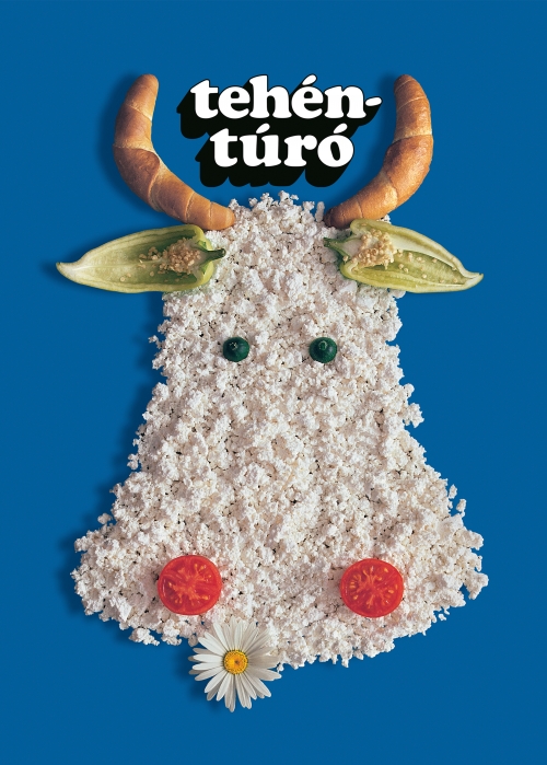 turo.jpg