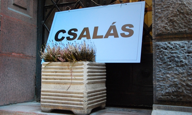 csalas.jpg