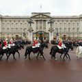 Amit a Buckingham palotáról mindenképpen tudnod kell!