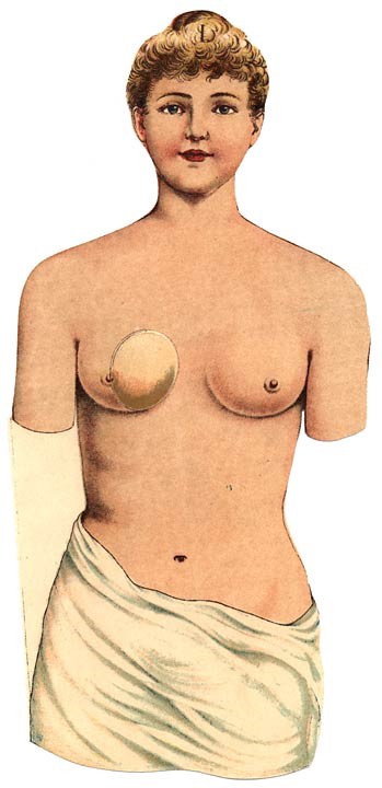 Könyv a női testről és belső szervekről (forrás: Aletta H. Jacobs: De Vrouw Haar bouw en haar inwendige organen