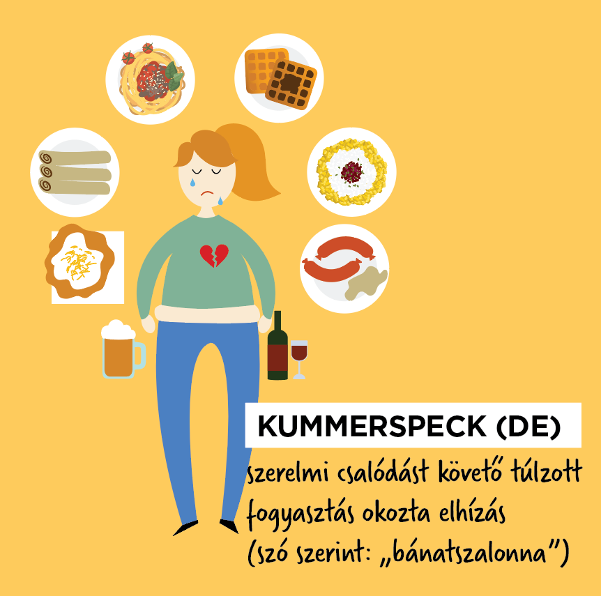 Kummerspeck: szerelmi csalódást követő túlzott fogyasztás okozta elhízás (szó szerint: „bánatszalonna”)