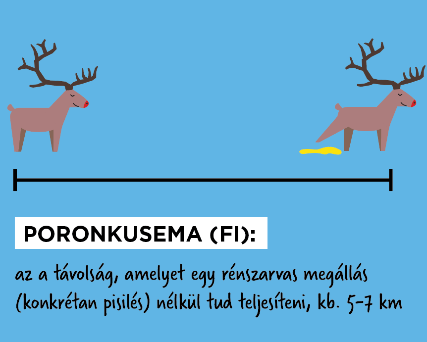 Poronkusema: az a távolság, amelyet egy rénszarvas megállás (konkrétan pisilés) nélkül tud teljesíteni, kb. 5-7 km