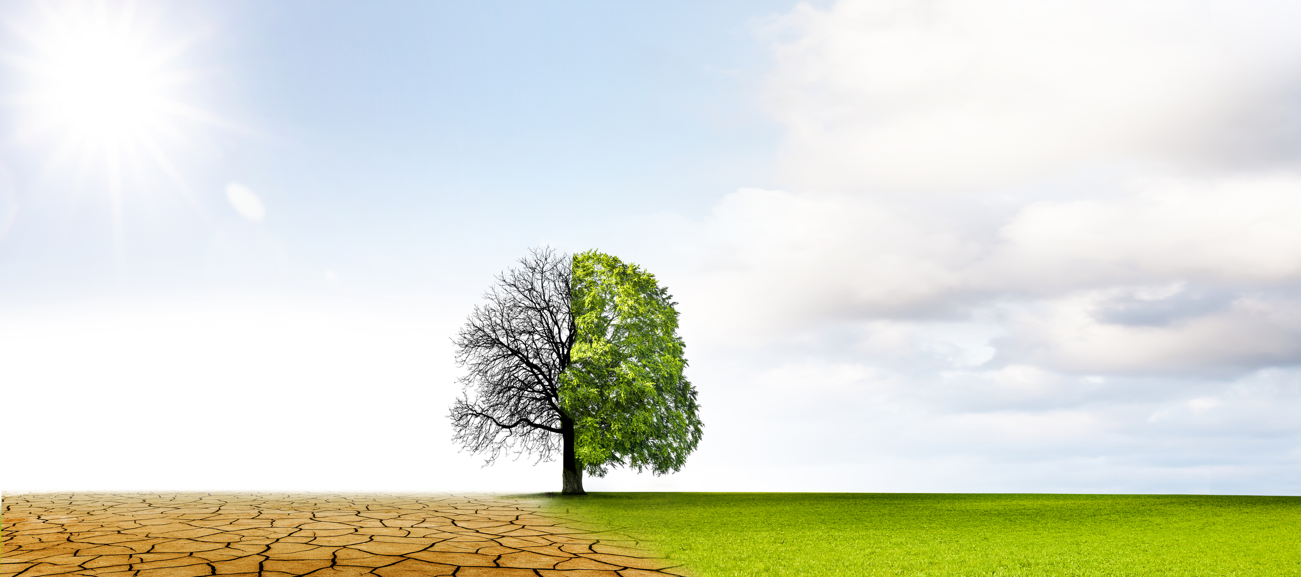 agrar_istock-1305994903.jpg