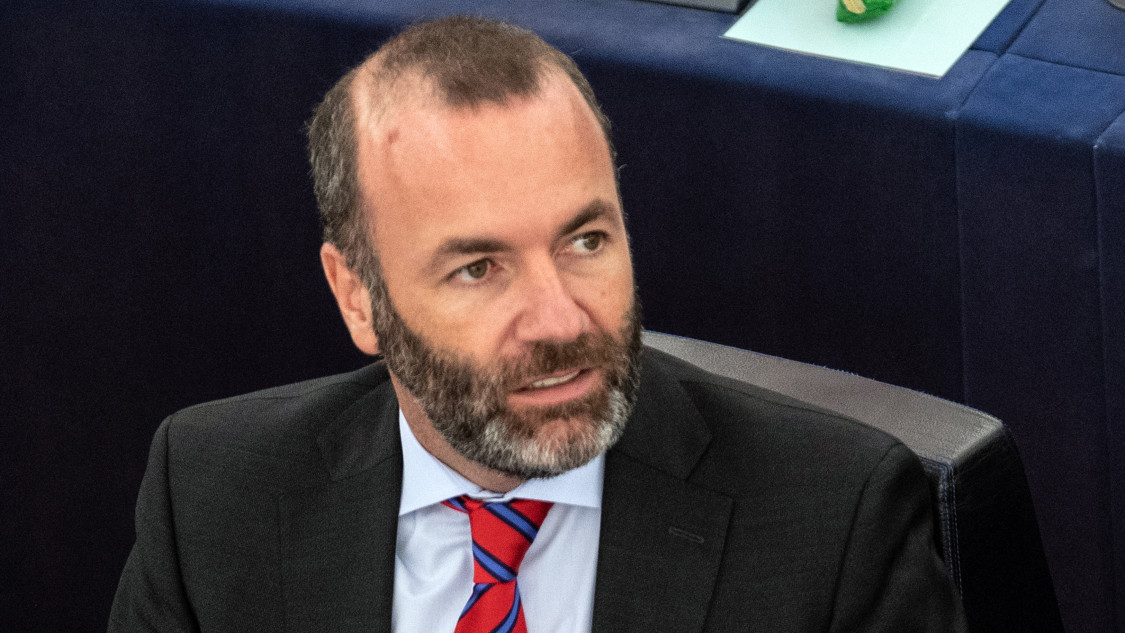 manfredweber.jpg