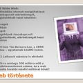 Web története