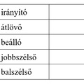 Kézilabda 8. SZUMHA