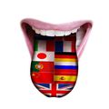 Nyelvvizsgára, vagy nyelvtudásra van inkább szükség?