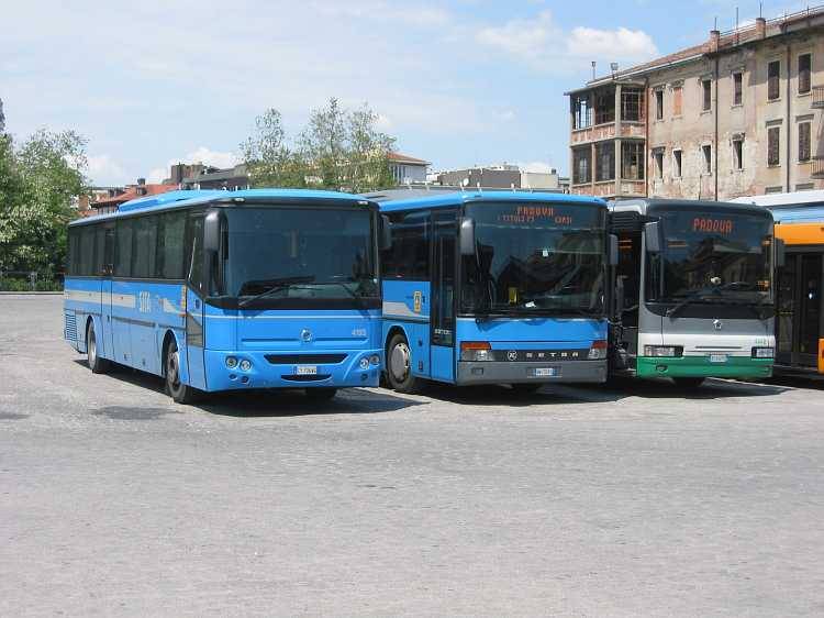 61932_kekbuszok_padova.jpg