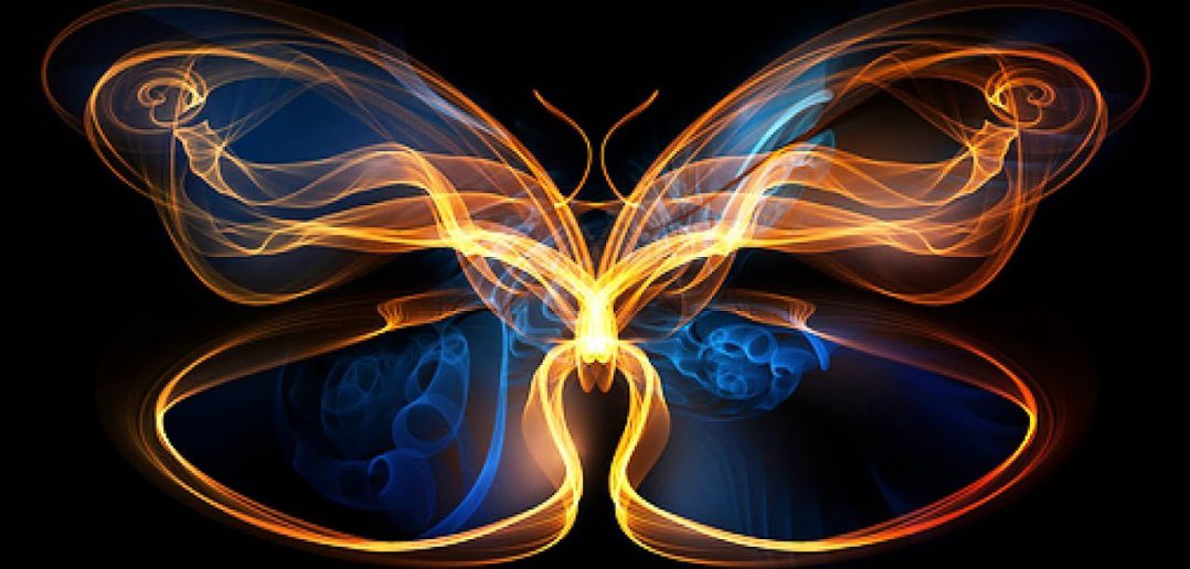 the-butterfly-effect-has-changed-1078x516.jpg