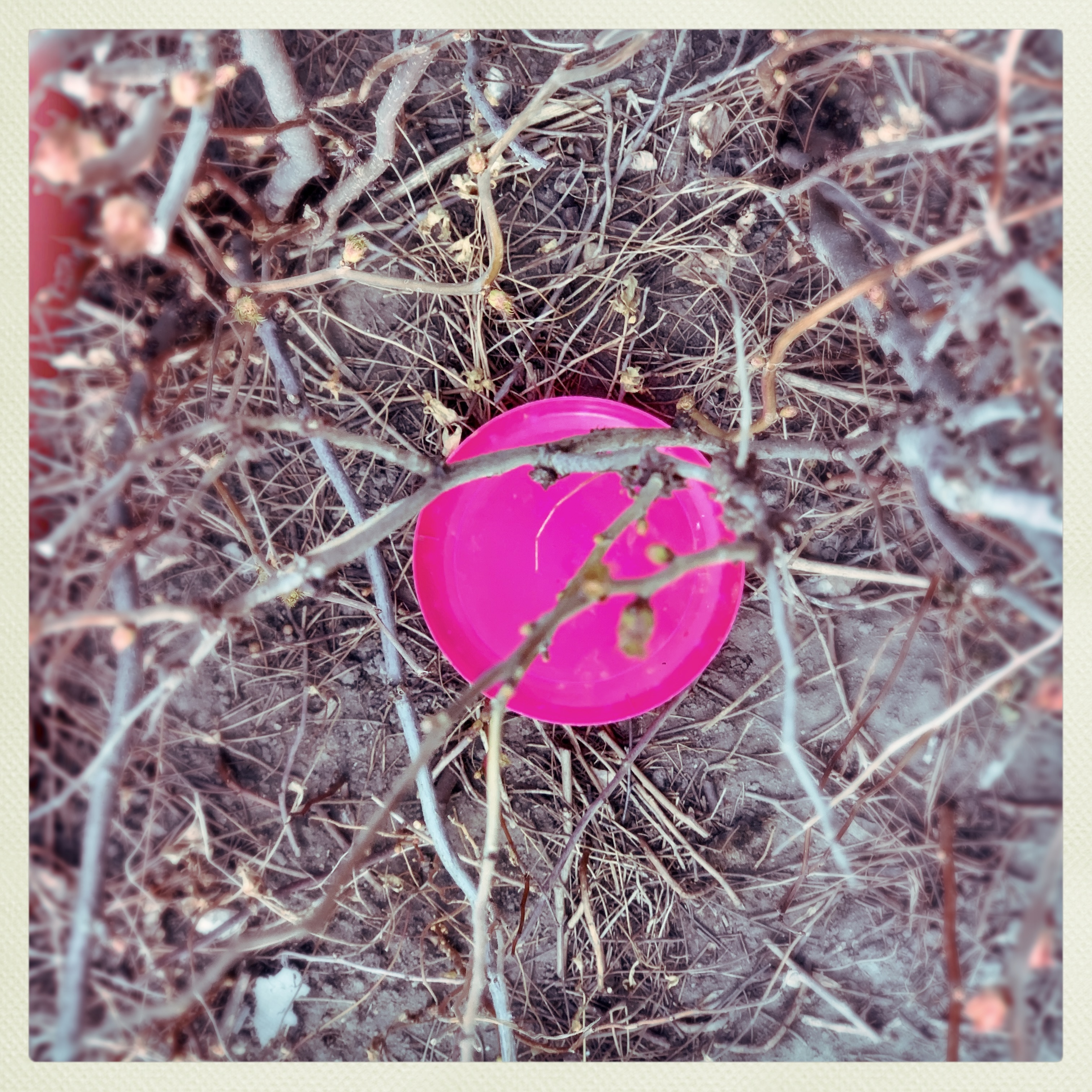 hipstamaticphoto-665064328_480188.jpg