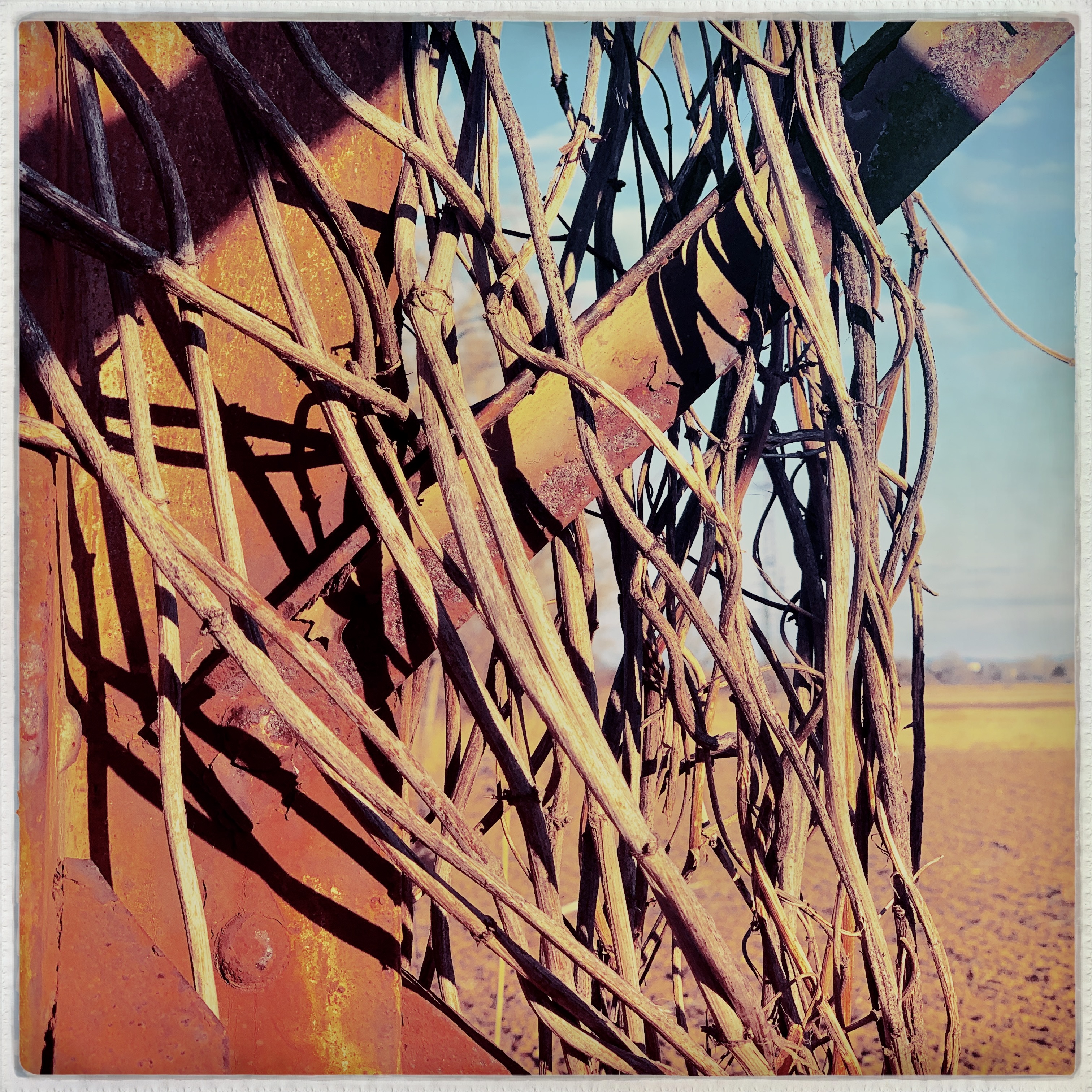 hipstamaticphoto-666369598_586567.jpg