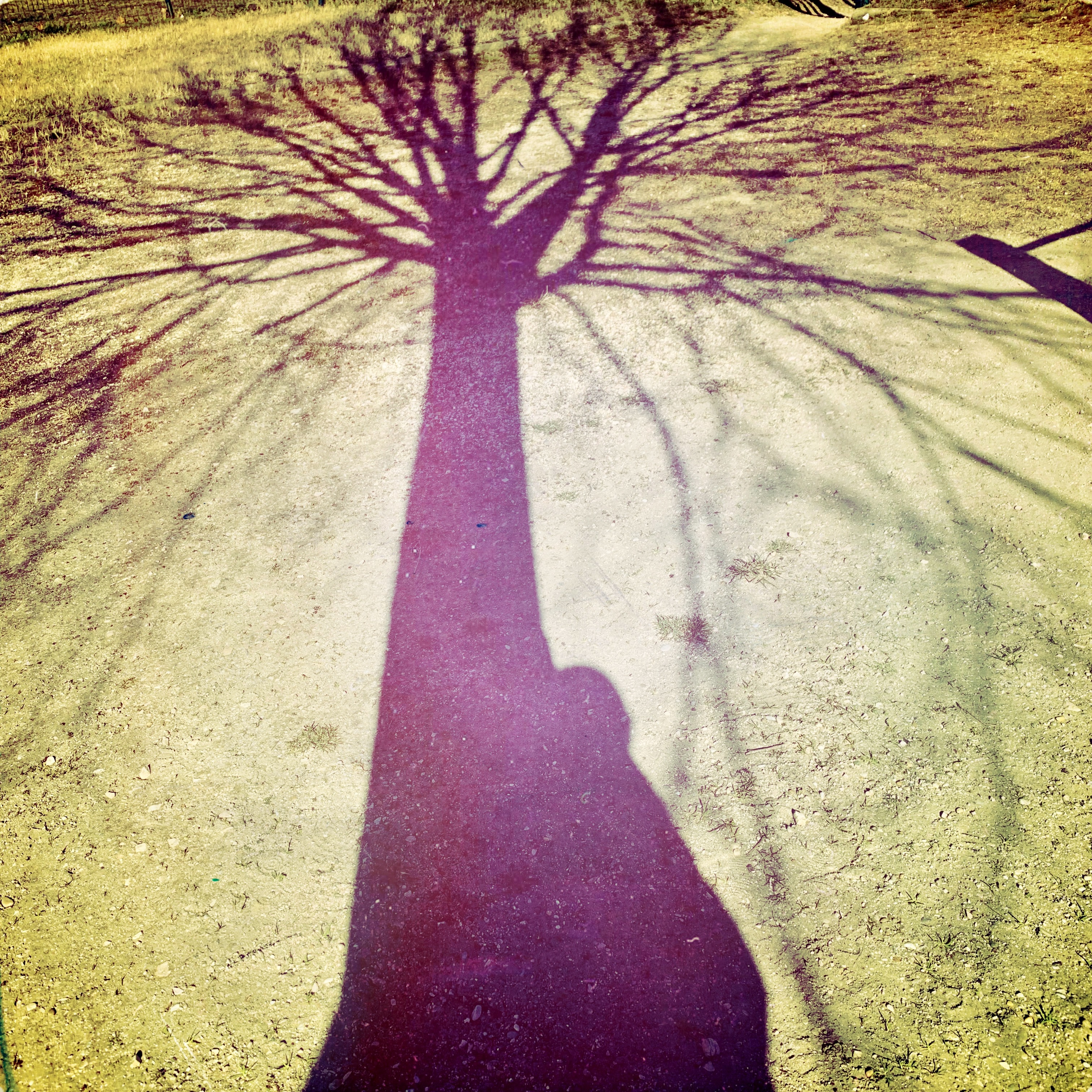 hipstamaticphoto-668782247_354337.jpg