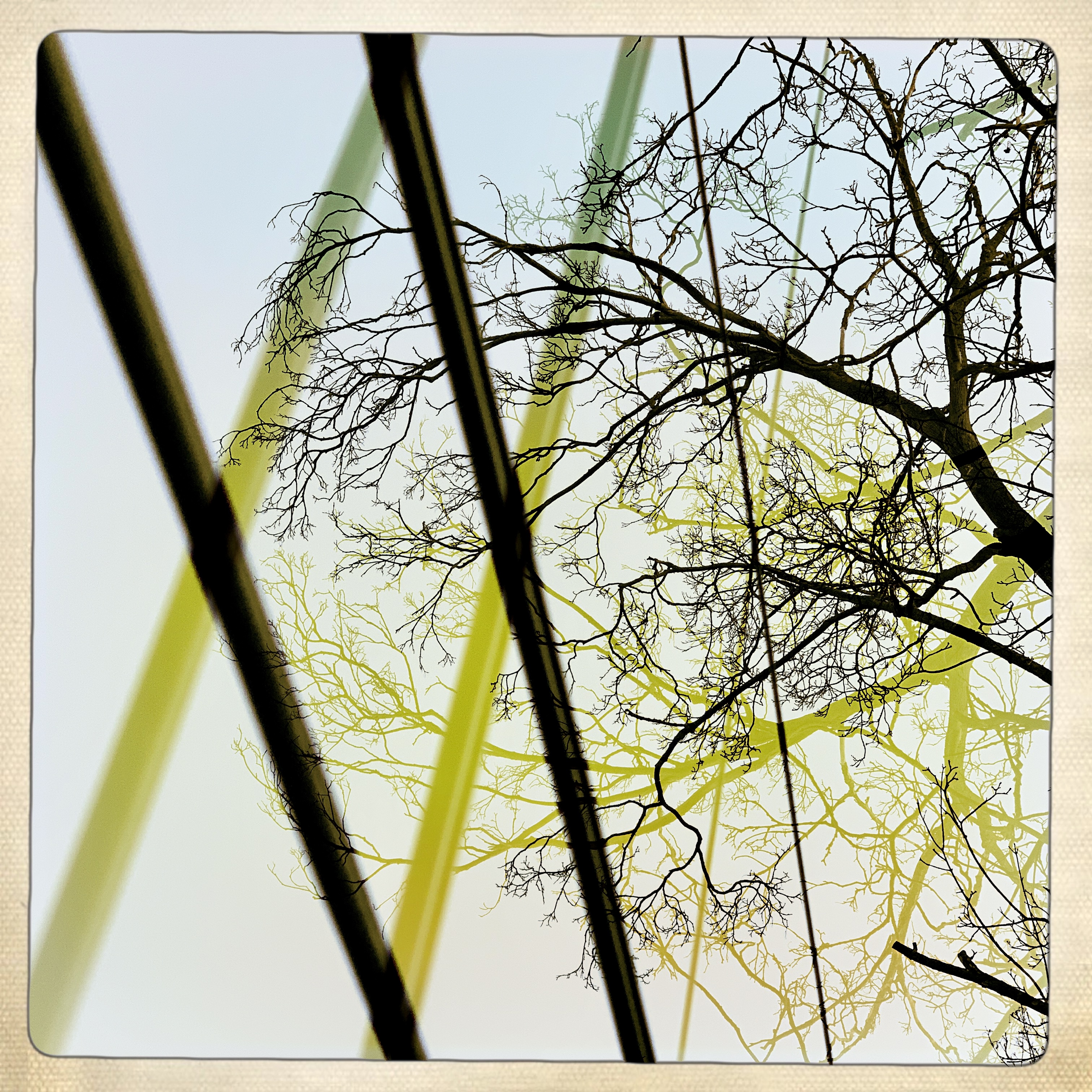 hipstamaticphoto-669661069_480305.jpg