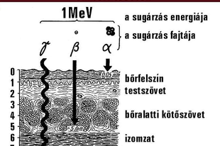 Sugárzások fajtái és hatásuk