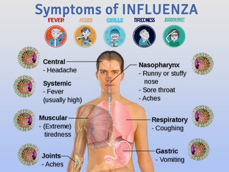 73552519-influenza.jpg