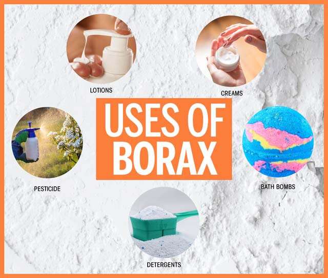 uses-borax-infographics.jpg