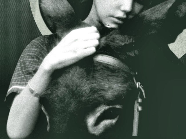 457. Vétlen Balthazár (Au Hasard Balthasar) - 1966