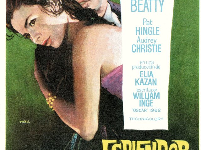 368. Ragyogás a Fűben (Splendor in the Grass) - 1961