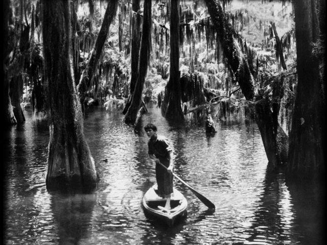 213. Louisianai Történet (Louisiana Story) - 1948