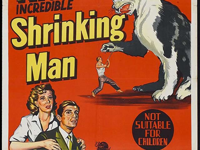 321. A Hihetetlenül Zsugorodó Ember (The Incredible Shrinking Man) - 1957
