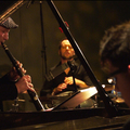 Trio á la Kodály a Budapest Jazz Clubban, 2014.01.08-án.